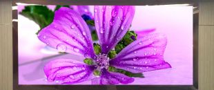 連鎖火鍋店老板哭訴：門頭LED廣告機(jī)讓我多賺了110萬(wàn)，但千萬(wàn)別學(xué)我踩這3個(gè)坑！”